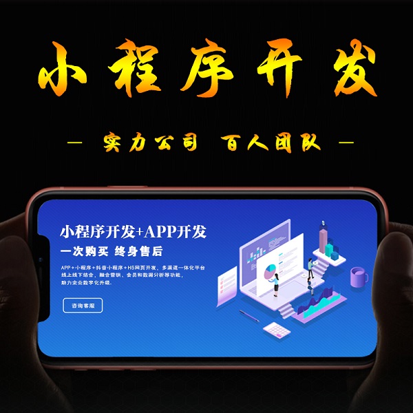 電子商務(wù)行業(yè)聯(lián)盟小程序呈現(xiàn)出不同的市場
